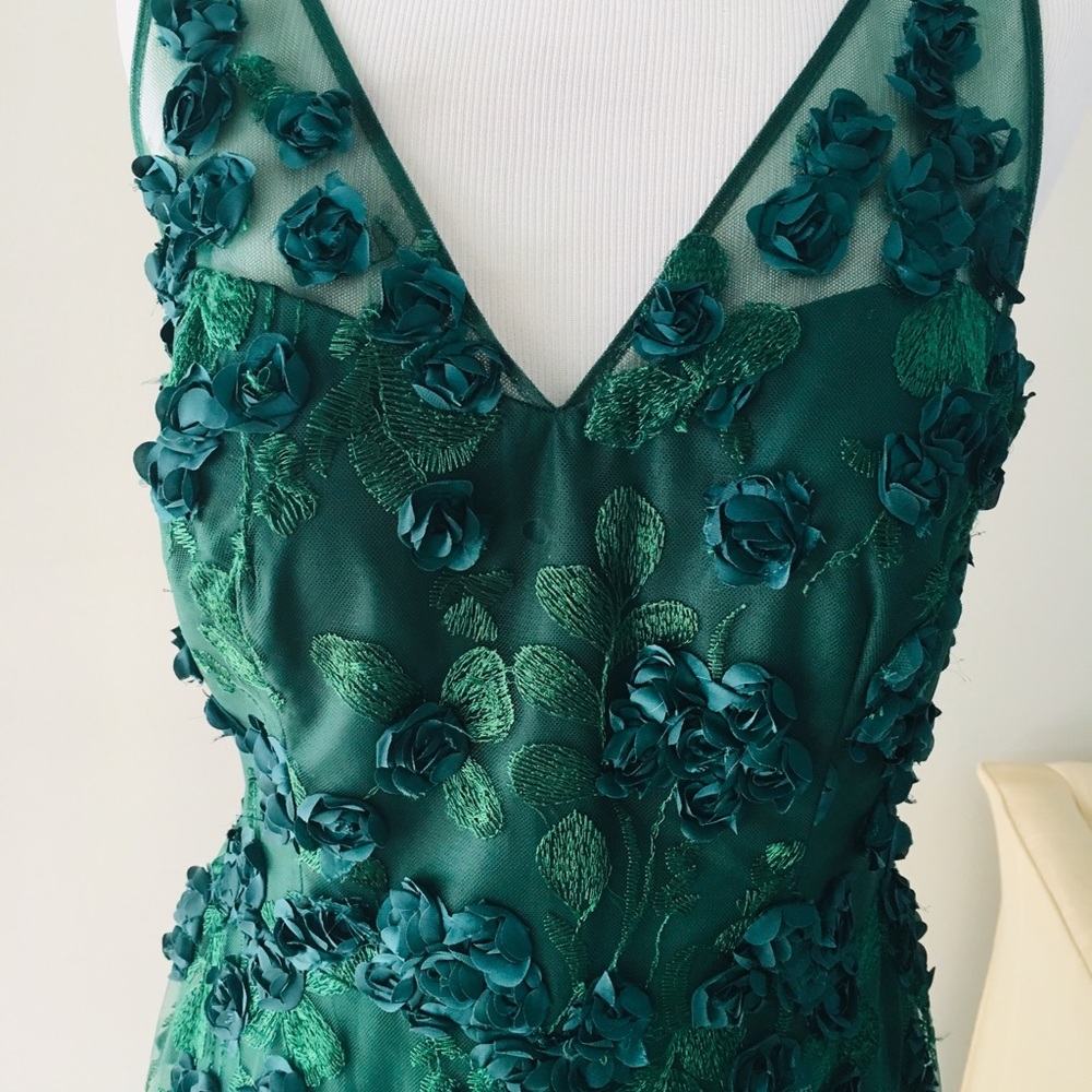 Teri Jon Evening gown